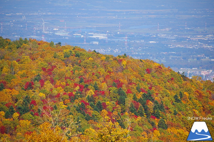 手稲山 2017 紅葉前線、順調に下山中！